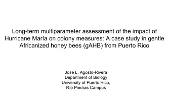Long-term multiparameter assessment of the impact of  Hurricane Mara on colony measures: A case