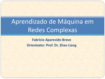 Aprendizado de Mquina em  Redes Complexas  Fabricio Aparecido Breve  Orientador: Prof. Dr. Zhao