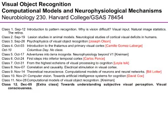 Visual Object Recognition  Computational Models and Neurophysiological Mechanisms Neurobiology 230.