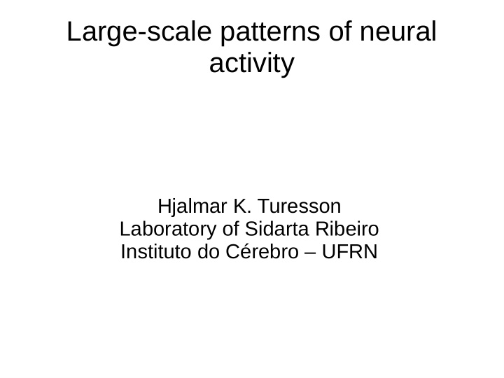 large scale patterns of neural activity