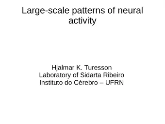 Large-scale patterns of neural  activity  Hjalmar K. Turesson  Laboratory of Sidarta Ribeiro