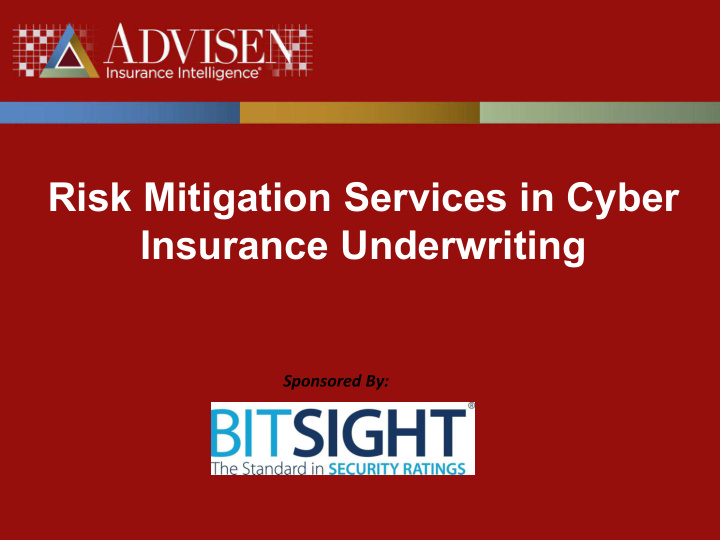 risk mitigation services in cyber
