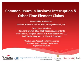 Presented By Moderators:  Michael Silvestro and Bill Kolb, Skarzynski Black, LLC  Expert Panel