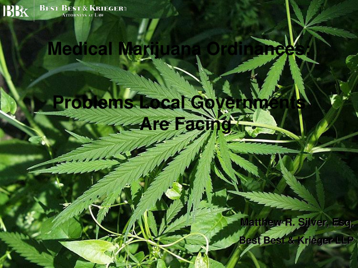 medical marijuana ordinances problems local governments