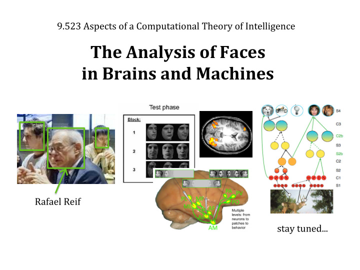 the analysis of faces in brains and machines