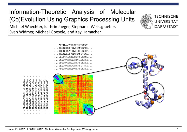 information theoretic analysis of molecular co evolution