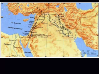 The Rumen  The Rumen The rumen , also known as the fermentation vat or paunch forms the  larger