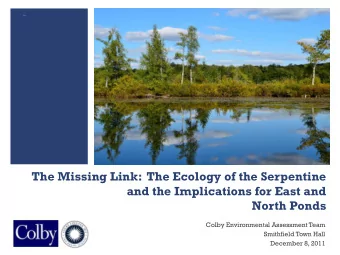 +  The Missing Link:  The Ecology of the Serpentine  and the Implications for East and  North Ponds