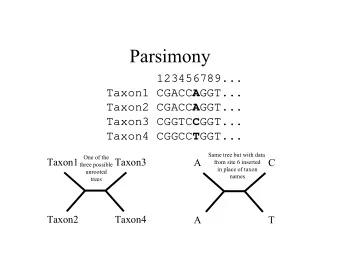 Parsimony  123456789... Taxon1 CGACC A GGT... Taxon2 CGACC A GGT... Taxon3 CGGTC C GGT... Taxon4