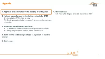 Agenda  1. Approval of the minutes of the meeting of 6 May 2020  6. Miscellaneous  6.1. Next WG