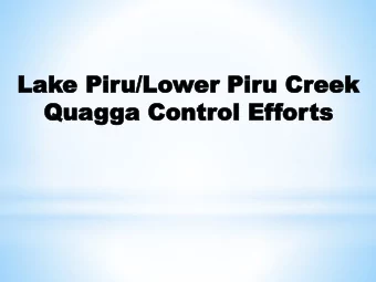 Qua  Quagga  ga Contr  Control  ol Ef  Effor  orts  ts  The Quagga Mussel: Difficult and  Expensive