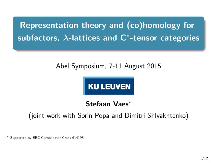 representation theory and co homology for subfactors
