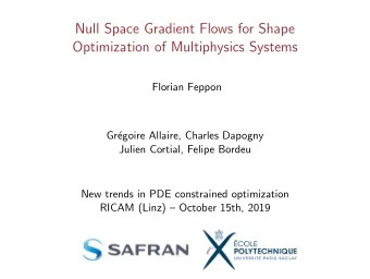 Null Space Gradient Flows for Shape  Optimization of Multiphysics Systems  Florian Feppon  Gr