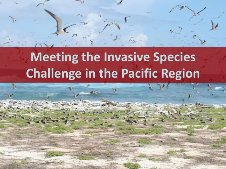 meeting the invasive species