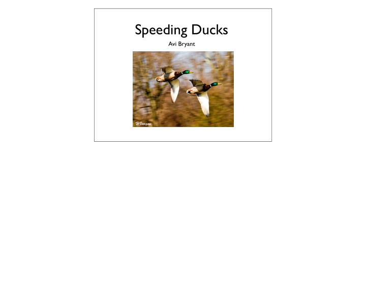 speeding ducks