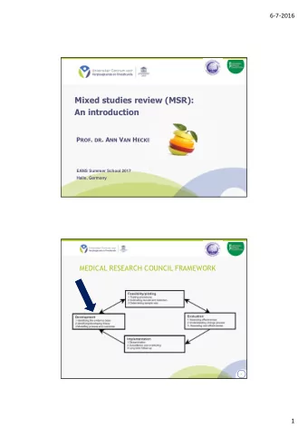 Mixed studies review (MSR):  An introduction P ROF . DR . A NN V AN H ECKE  EANS Summer School 2017