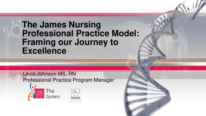 the james nursing professional practice model framing our