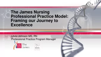The James Nursing  Professional Practice Model:  Framing our Journey to  Excellence  Linda Johnson
