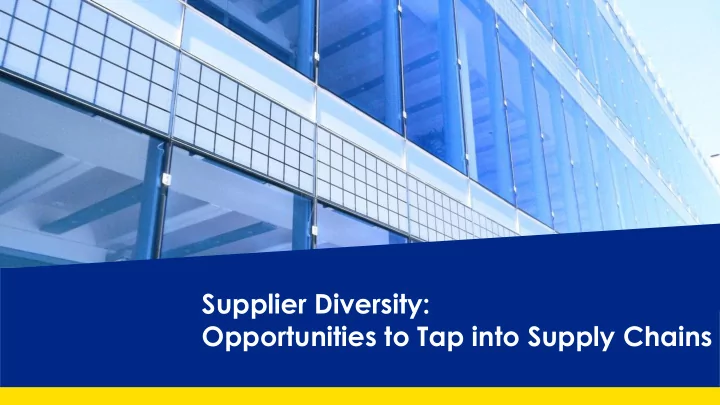 supplier diversity