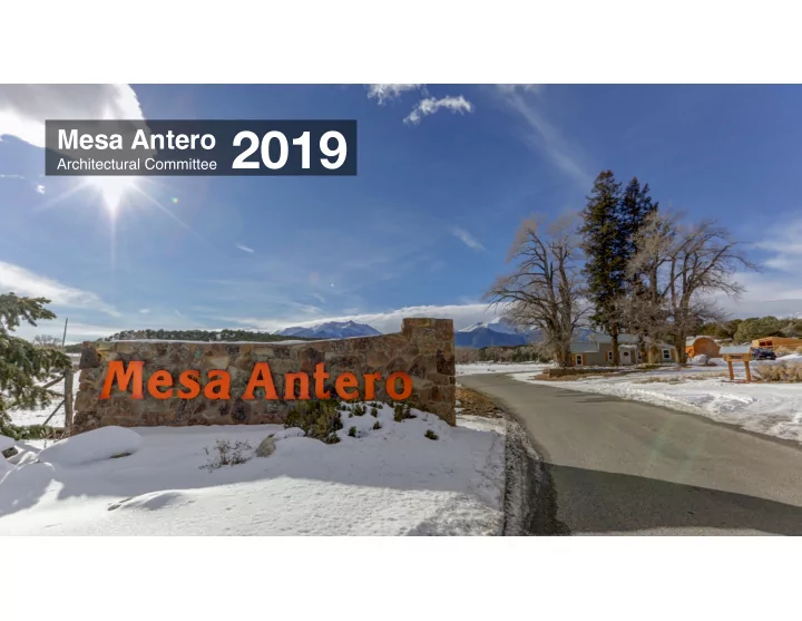 architectural committee 2019