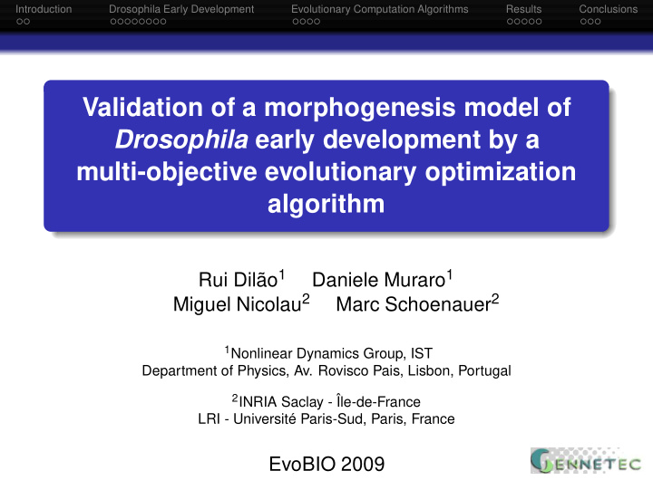 validation of a morphogenesis model of drosophila early