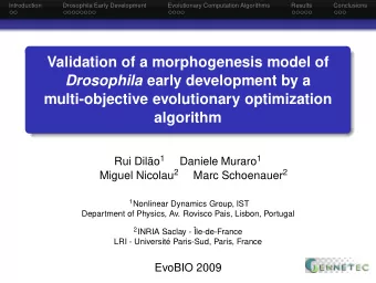 Validation of a morphogenesis model of Drosophila early development by a  multi-objective