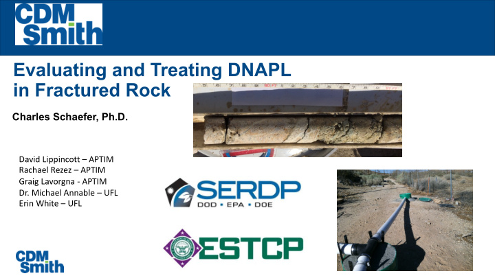 evaluating and treating dnapl in fractured rock