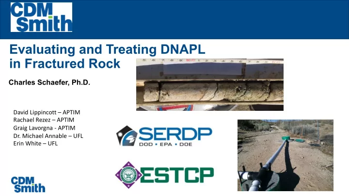 evaluating and treating dnapl in fractured rock