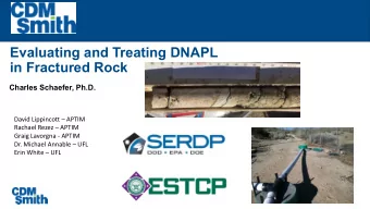 Evaluating and Treating DNAPL  in Fractured Rock  Charles Schaefer, Ph.D.  David Lippincott