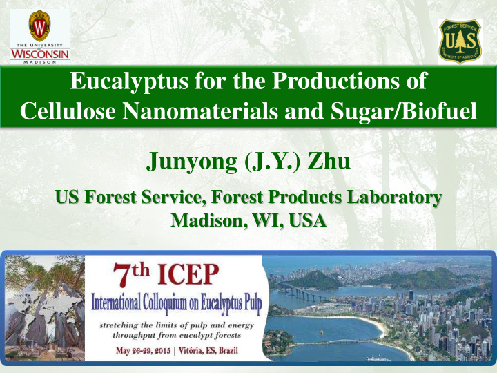 eucalyptus for the productions of cellulose nanomaterials