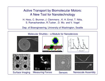 Active Transport by Biomolecular Motors:  A New Tool for Nanotechnology  H. Hess, C. Brunner, J.