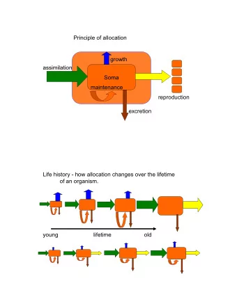Principle of allocation  growth  assimilation  Soma  maintenance  reproduction  excretion  Life