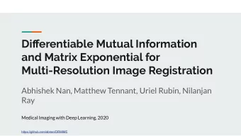Differentiable Mutual Information  and Matrix Exponential for  Multi-Resolution Image Registration