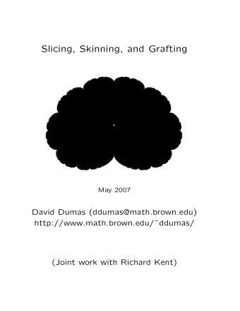 Slicing, Skinning, and Grafting  May 2007  David Dumas (ddumas@math.brown.edu)