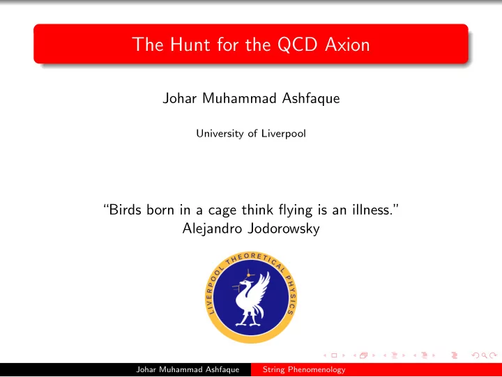 the hunt for the qcd axion