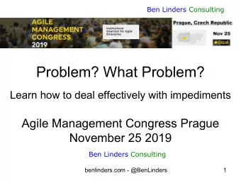 Problem? What Problem?  Learn how to deal effectively with impediments  Agile Management Congress