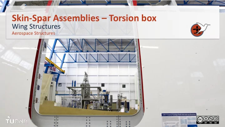 skin spar assemblies torsion box