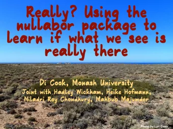 Really? Using the  nullabor package to  learn if what we see is  really there  Di Cook, Monash