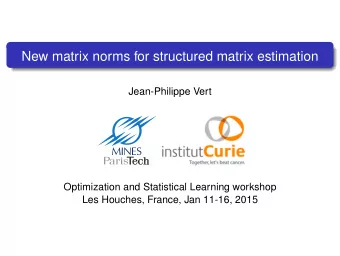New matrix norms for structured matrix estimation  Jean-Philippe Vert  Optimization and Statistical