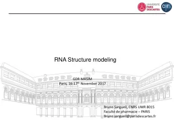 RNA Structure modeling  GDR MASIM Paris, 16-17 th November 2017  Bruno Sargueil, CNRS UMR 8015