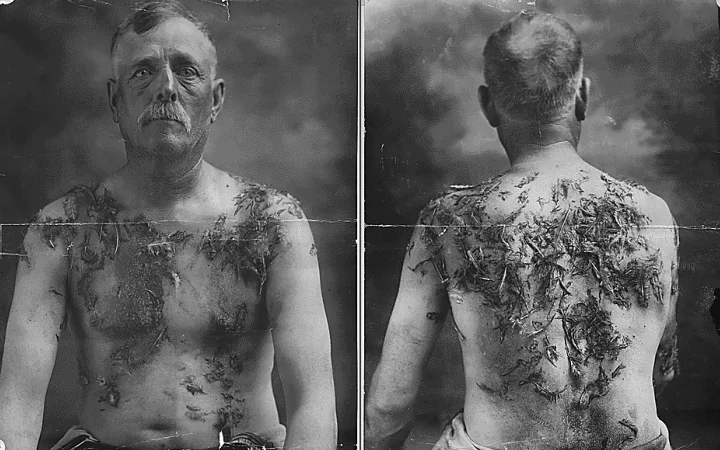 read and wonder tarred and feathered in toledo