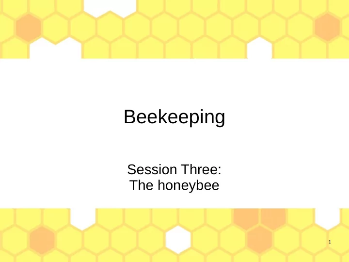 beekeeping