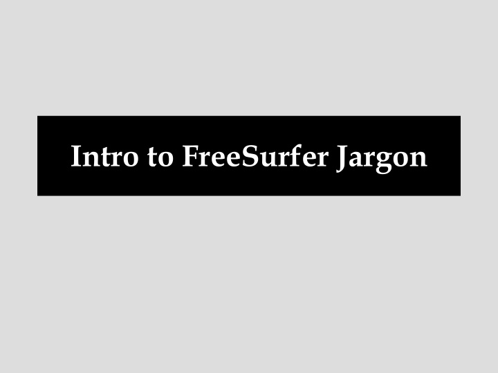 intro to freesurfer jargon intro to freesurfer jargon