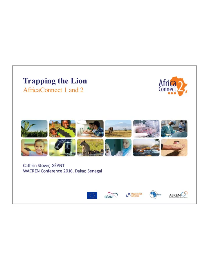 trapping the lion