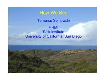 How We See  Terrence Sejnowski  HHMI  Salk Institute  University of California, San Diego  Levels