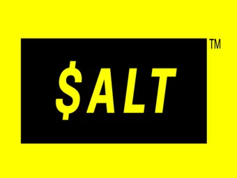 SALTMONEY.ORG  2  SALT CREATED BY AMERICAN STUDENT ASSISTANCE  Student Loan Repayment Information