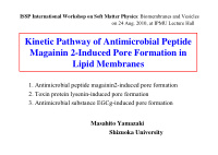 kinetic pathway of antimicrobial peptide magainin 2