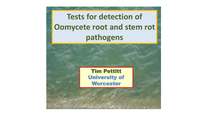 tests for detection of