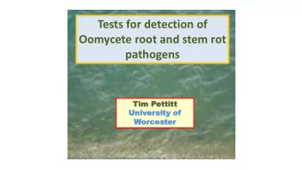 Tests for detection of  Oomycete root and stem rot  pathogens  Tim P  Tim Pettit  ettitt  Univ