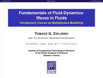 Fundamentals of Fluid Dynamics:  Waves in Fluids  Introductory Course on Multiphysics Modelling T